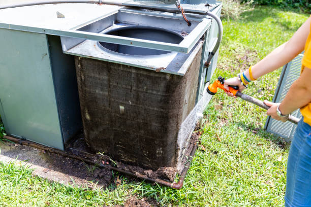 Best Air Duct Sanitizing Services  in Myrtle Grove, NC