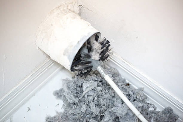 Best Affordable Duct Cleaning Services  in Myrtle Grove, NC